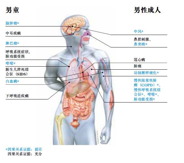 二手烟导致的疾病（男）