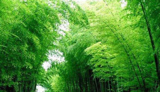 负离子活氧